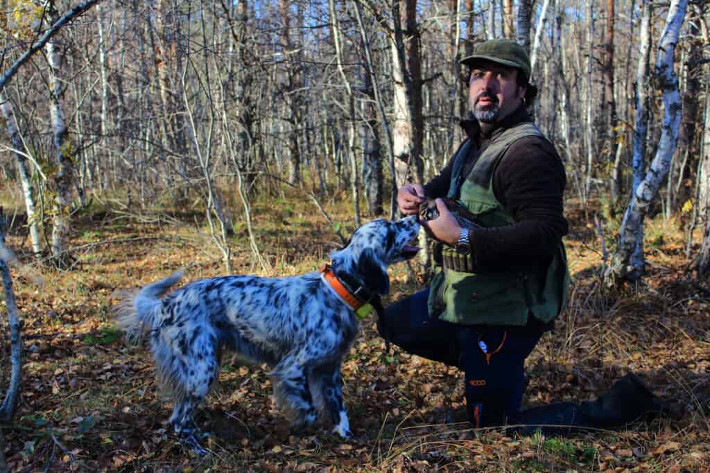 Woodcock Hunting in Estonia